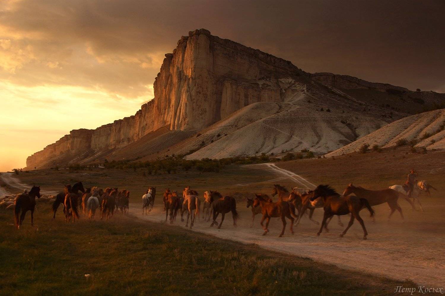 , Петр Косых