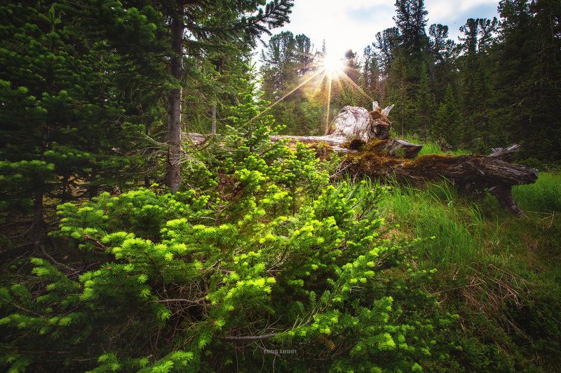 закат фото превью