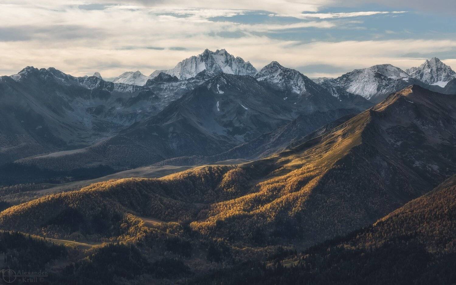 , Александр Круль