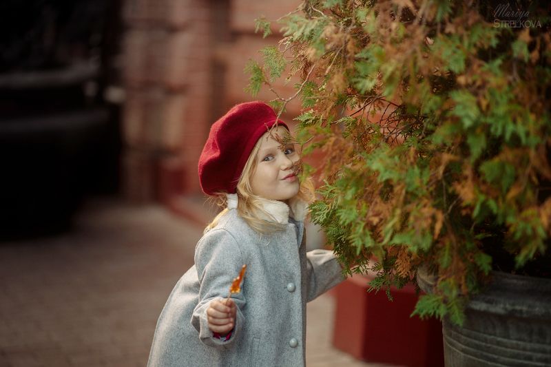 Баловница фото превью