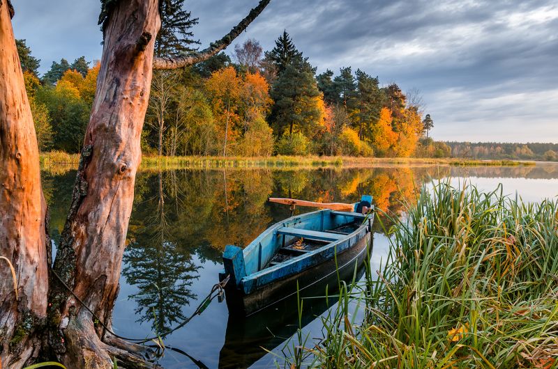 Осенним утром фото превью