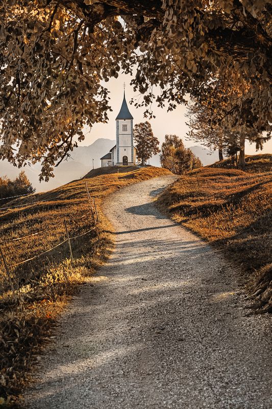 Jamnik фото превью