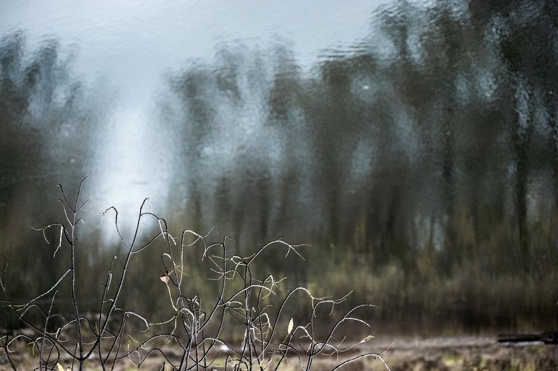 ... фото превью