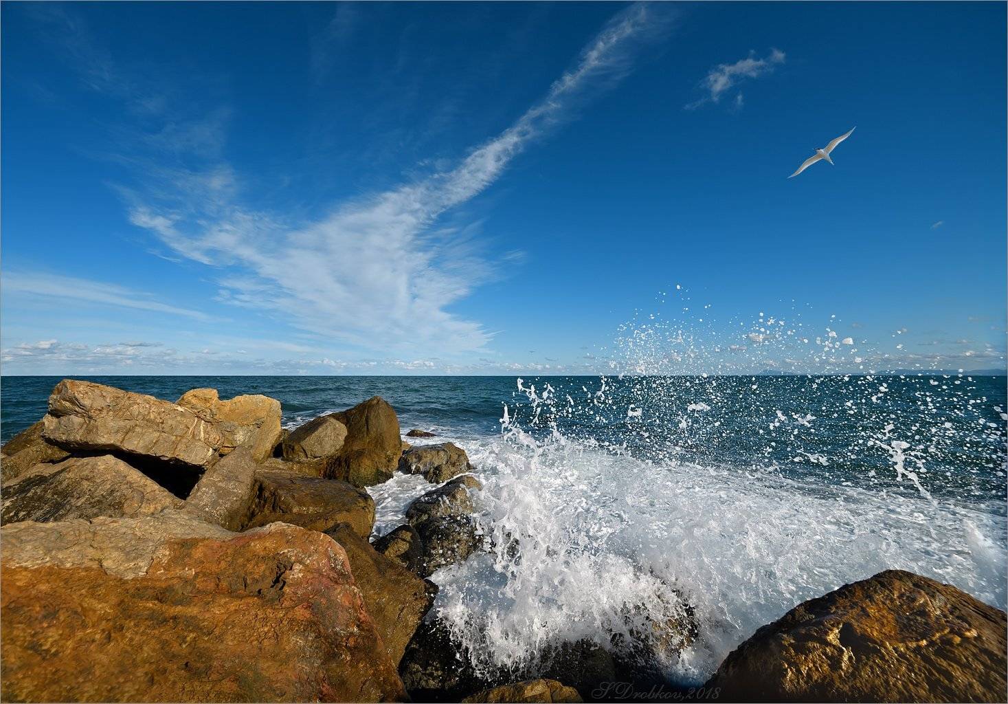 небо, море, чайка, вода, облака, волны, закат, Sergey Drobkov