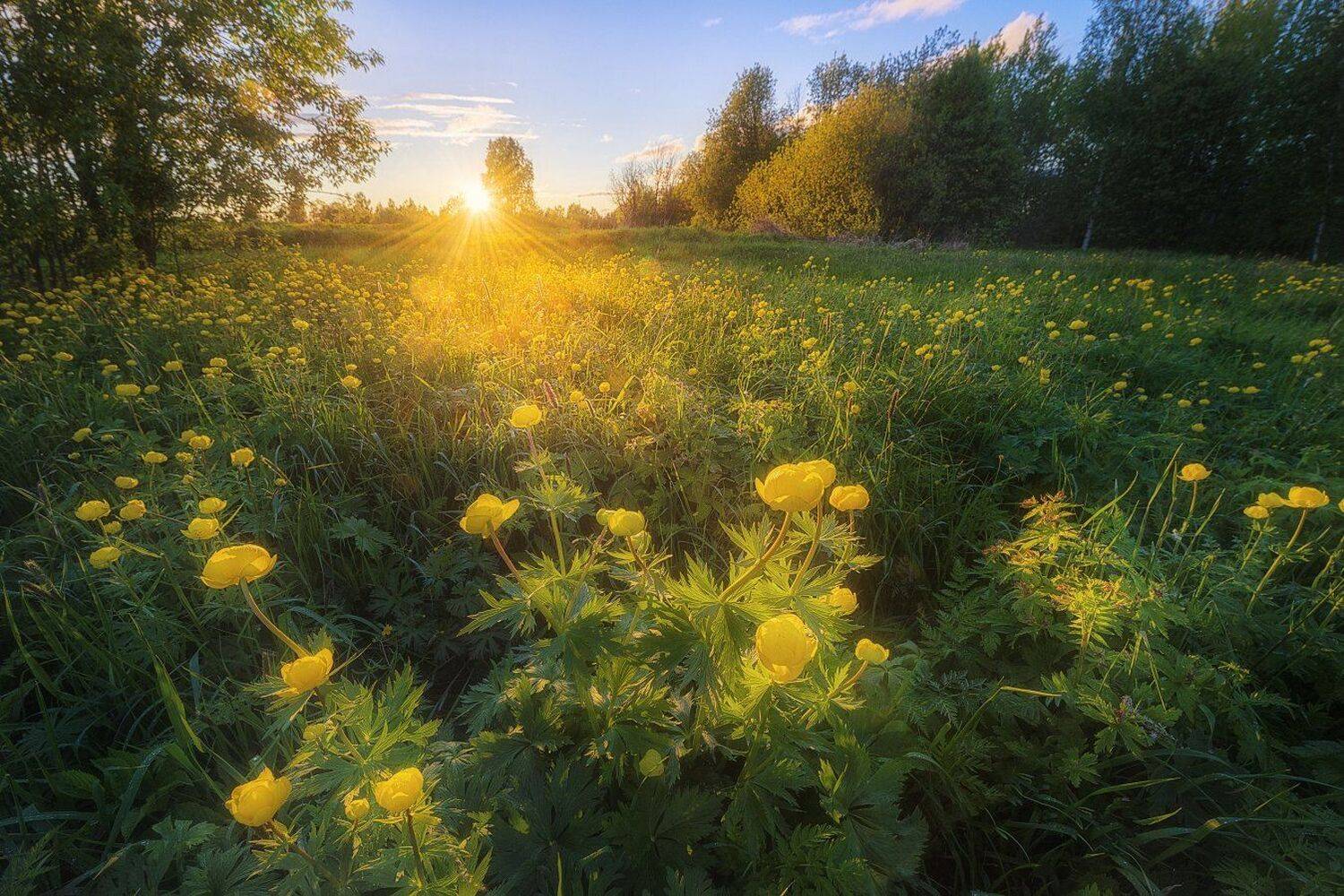 , Устюжанин Михаил