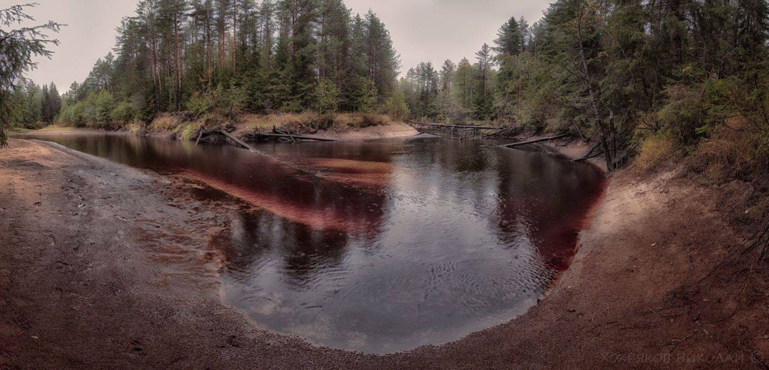 , Хохряков Николай