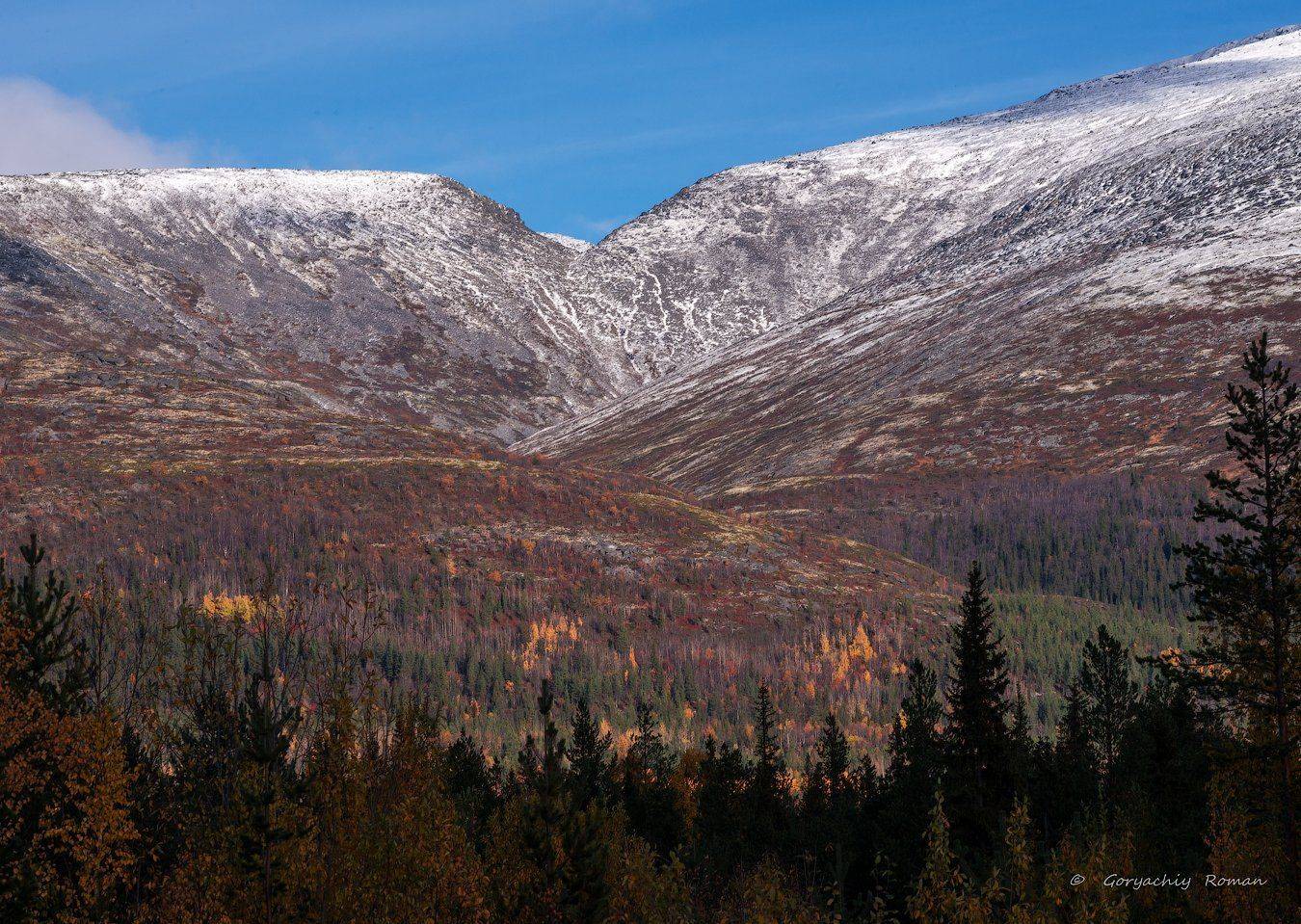 хибины, предзимье, осень, кольский, север, заполярье,, Роман Горячий