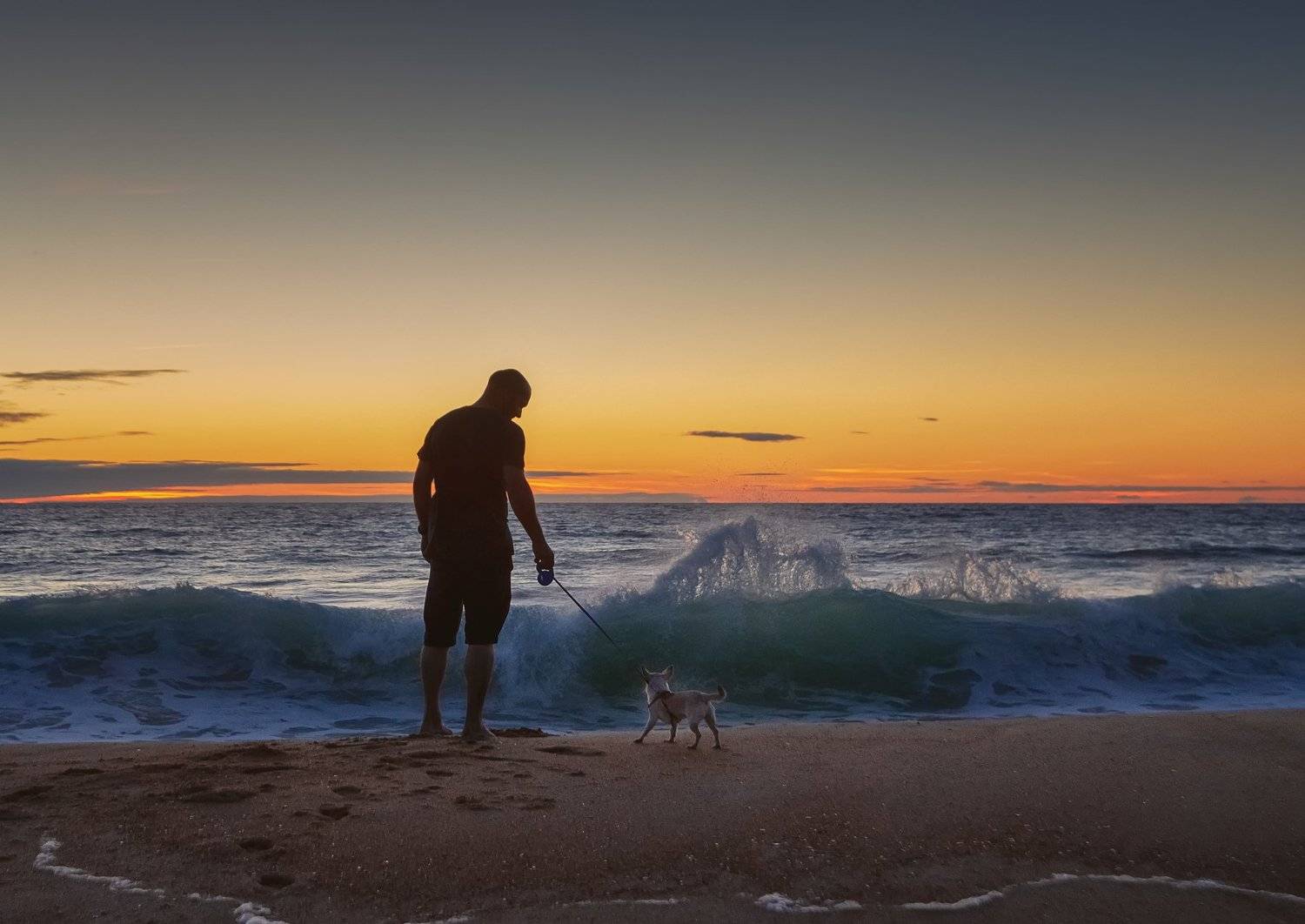 travel, bay, biscay, sunset, pets, sun, water, waves, colors, Вавилова Елизавета