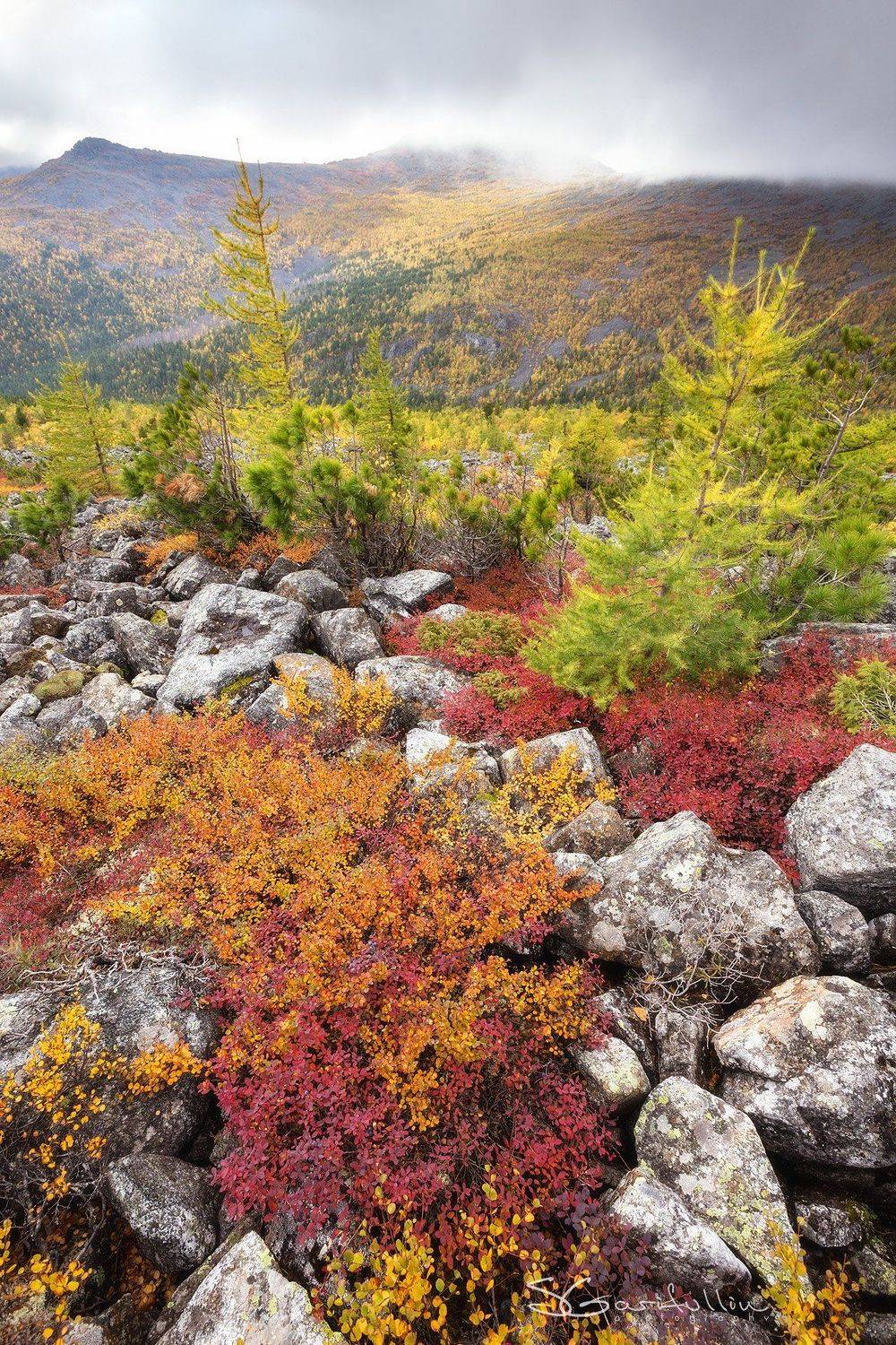 Урал, Северный Урал, Конжак, Серебрянский камень, Сергей Гарифуллин