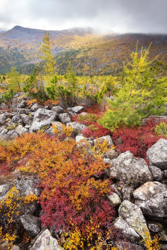 Урал, Северный Урал, Конжак, Серебрянский камень Риф Северного Урала фото превью