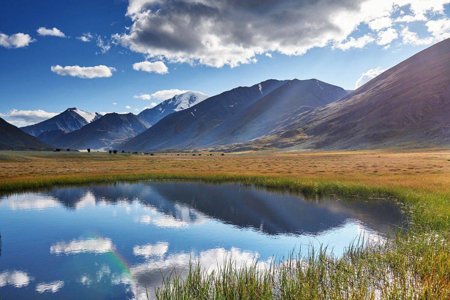 Алтай, Елангаш, Сергей Романчук