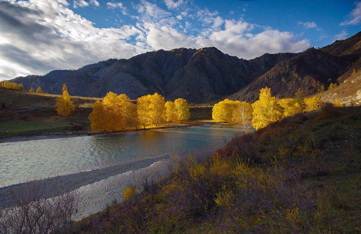 горы, осень, деревья, река, вода, чуя, чуйский, тракт, вечер, свет, желтые, Валерий Чичкин