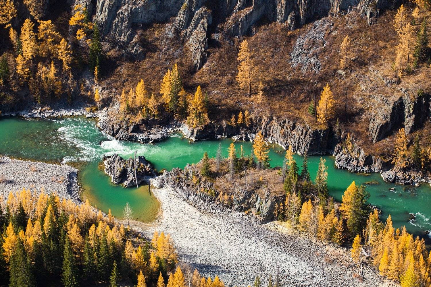 Алтай, Аргут, россия, Валерий Степанюк