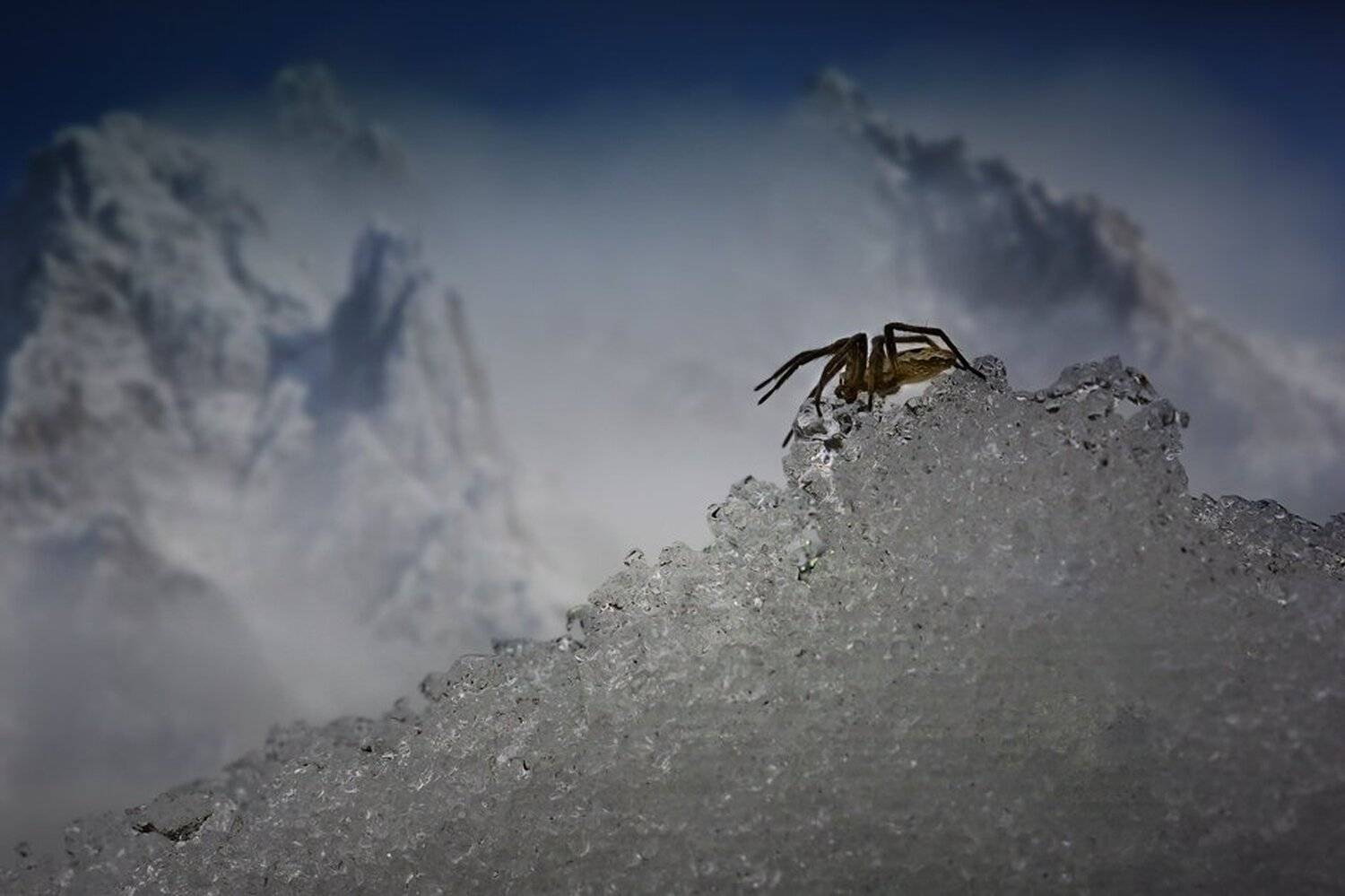 , Евгений Лукашук