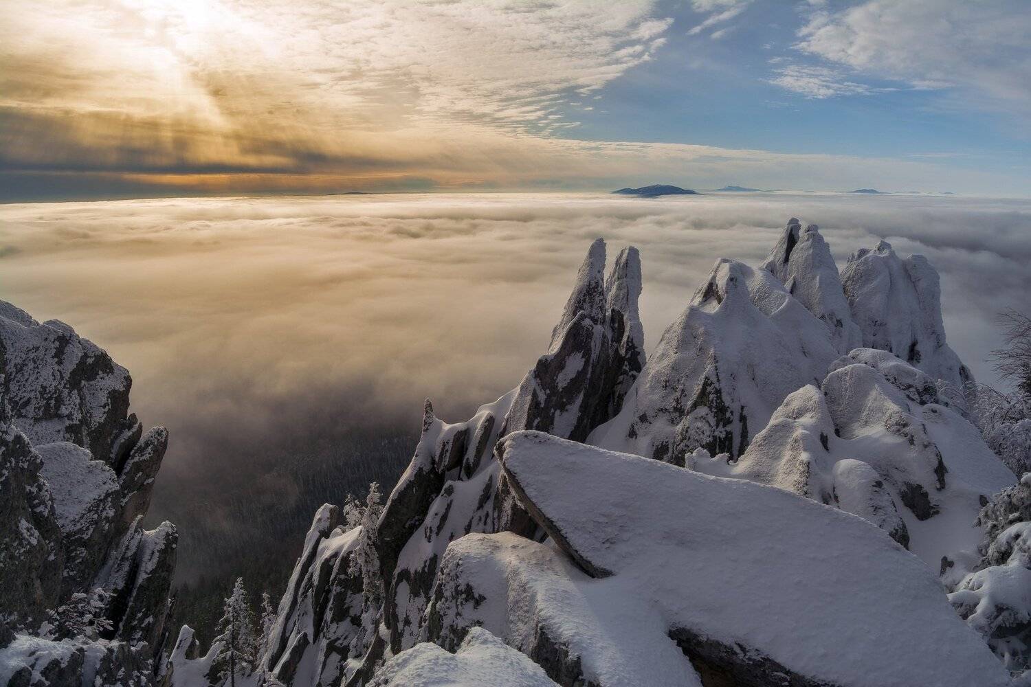 , Андрей Шарапов