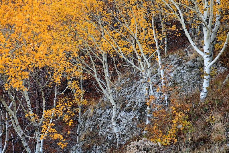 Время осени фото превью