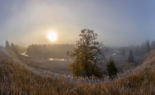 Морозный рассвет