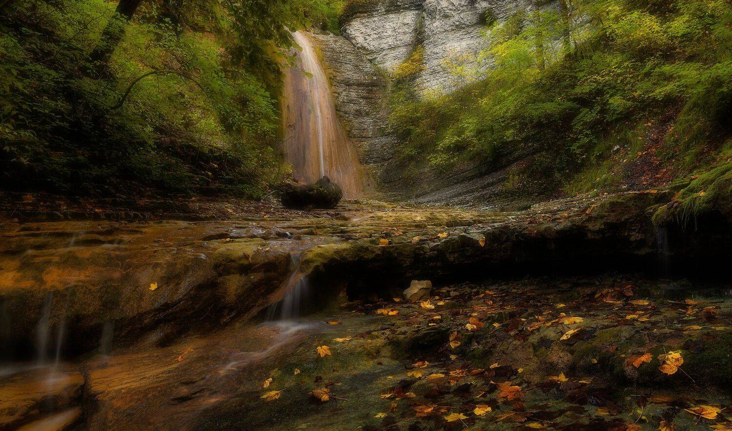 , Alexander Plekhanov