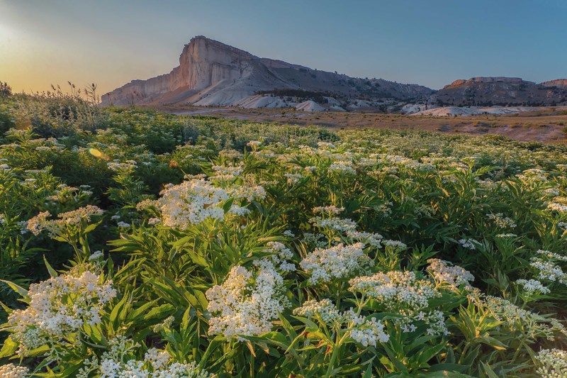 пейзаж Воспоминания о лете фото превью