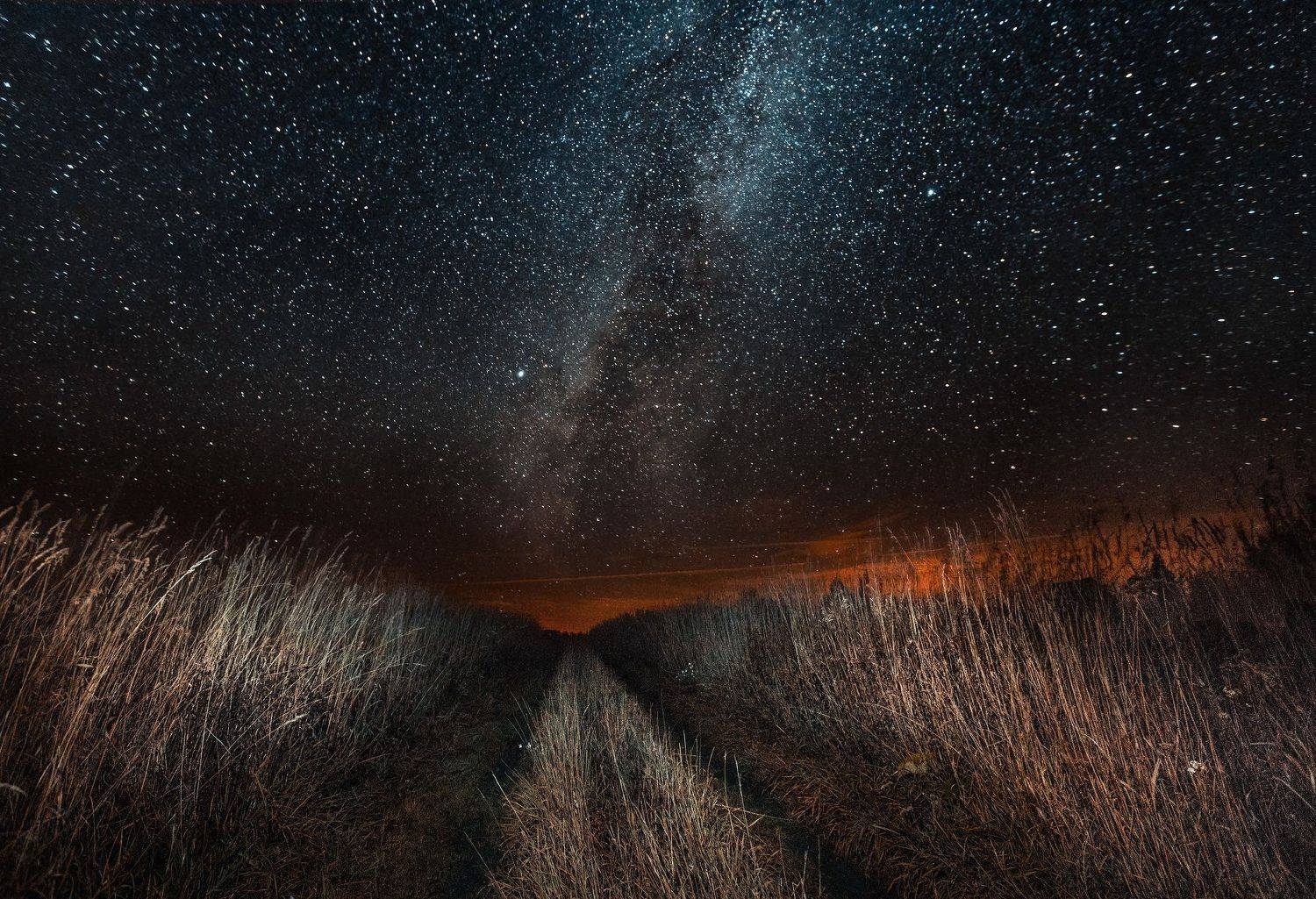 пейзаж, Павшинкина Светлана