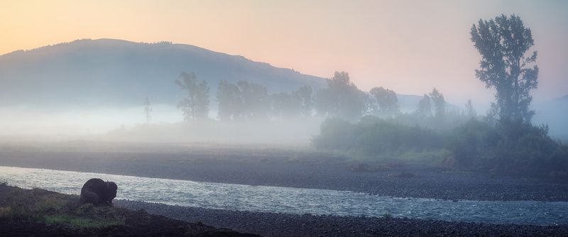 Wild Things фото превью