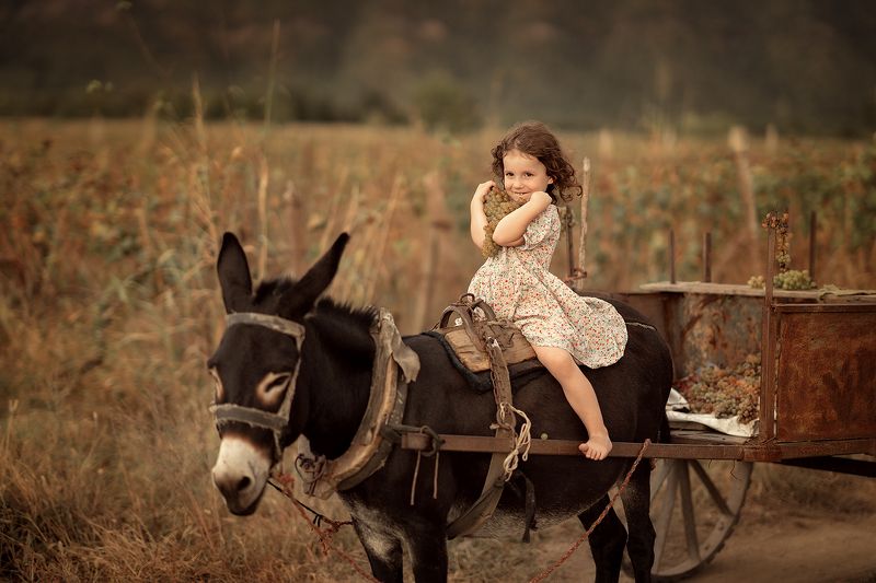 Сбор урожая фото превью