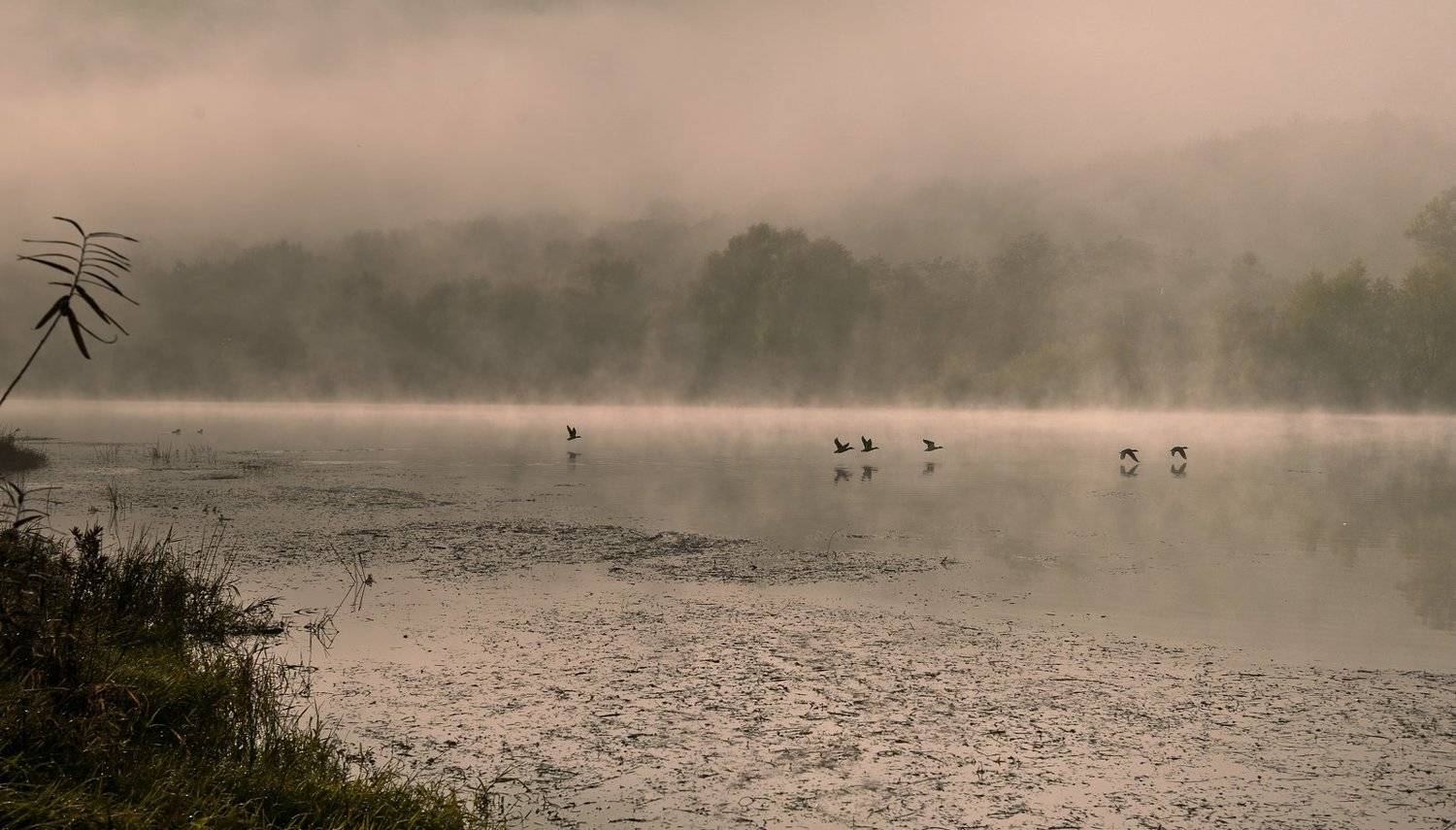 , Валерий Смирнов