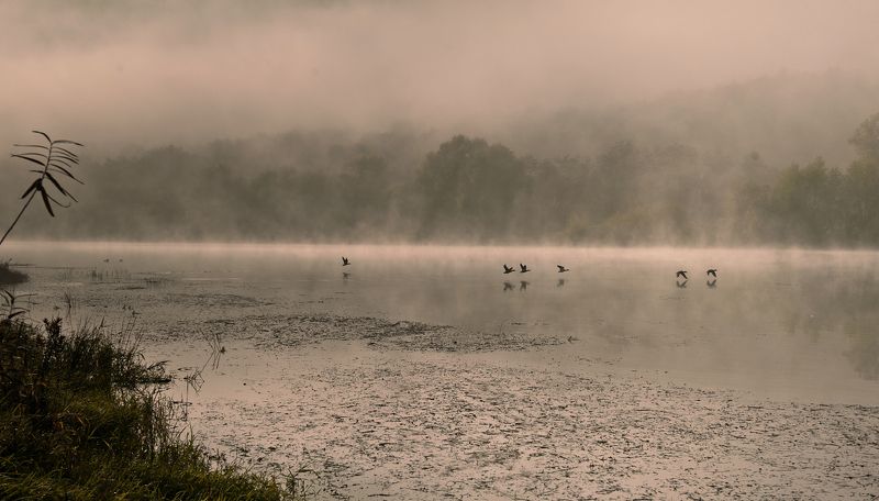 Скоро зима ... фото превью