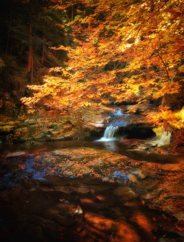 Favorite season фото превью