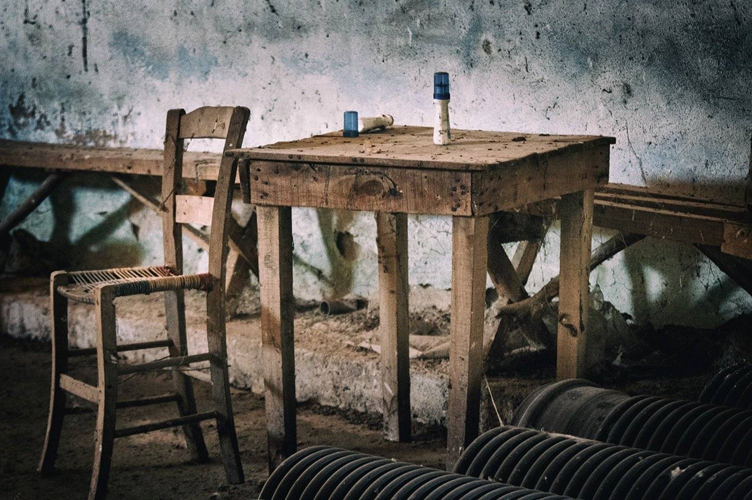 , Ирина Костова