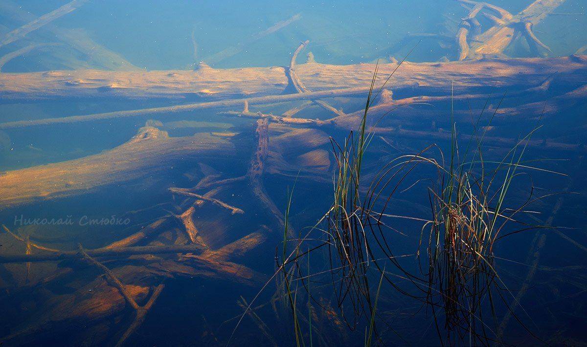 вода, тишина, спокойствие, Николай Стюбко