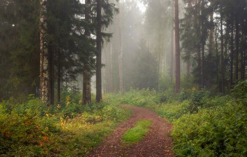 Сентябрьский парк. . . .