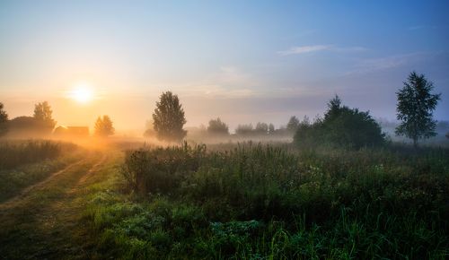 утро в деревне