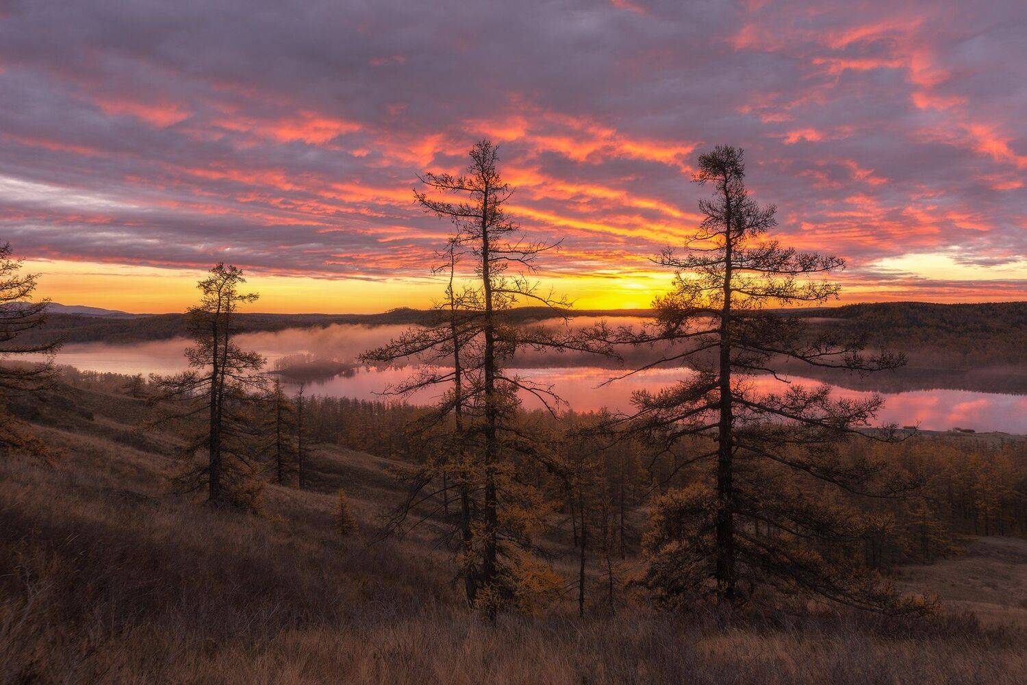 , Михаил Туркеев