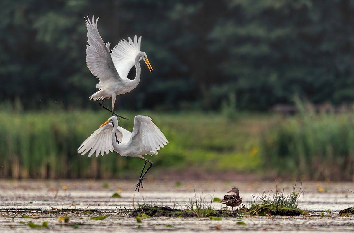 , Sławek Przybylski