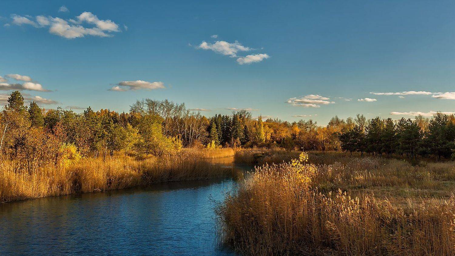 , Иващин Александр