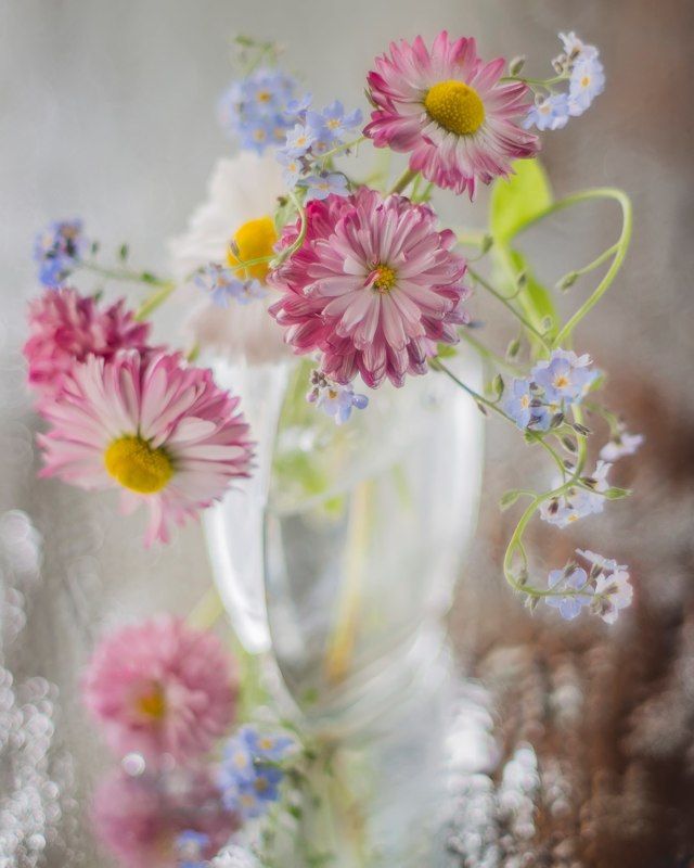 дачное фото превью