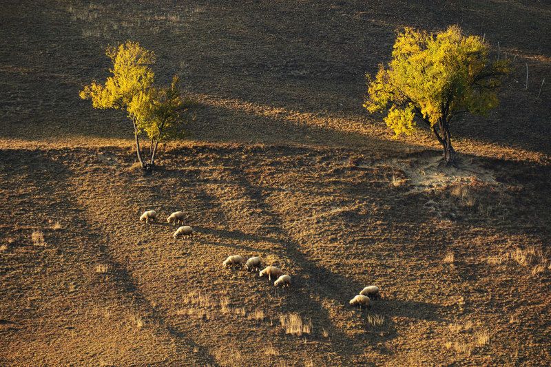 Autumn 2018 фото превью