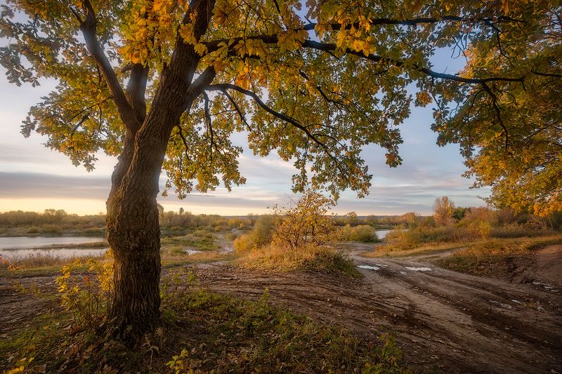 природа утро осень С осенним настроением фото превью