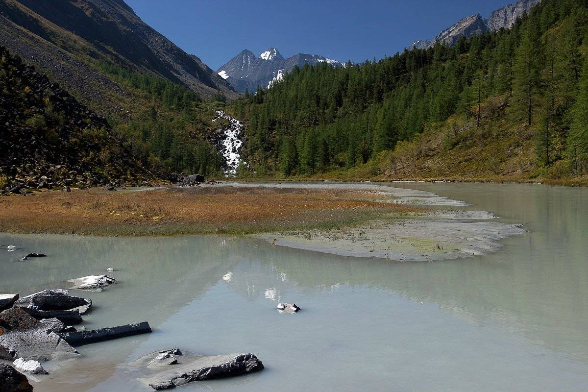 куркуре, алтай, Артем Головин
