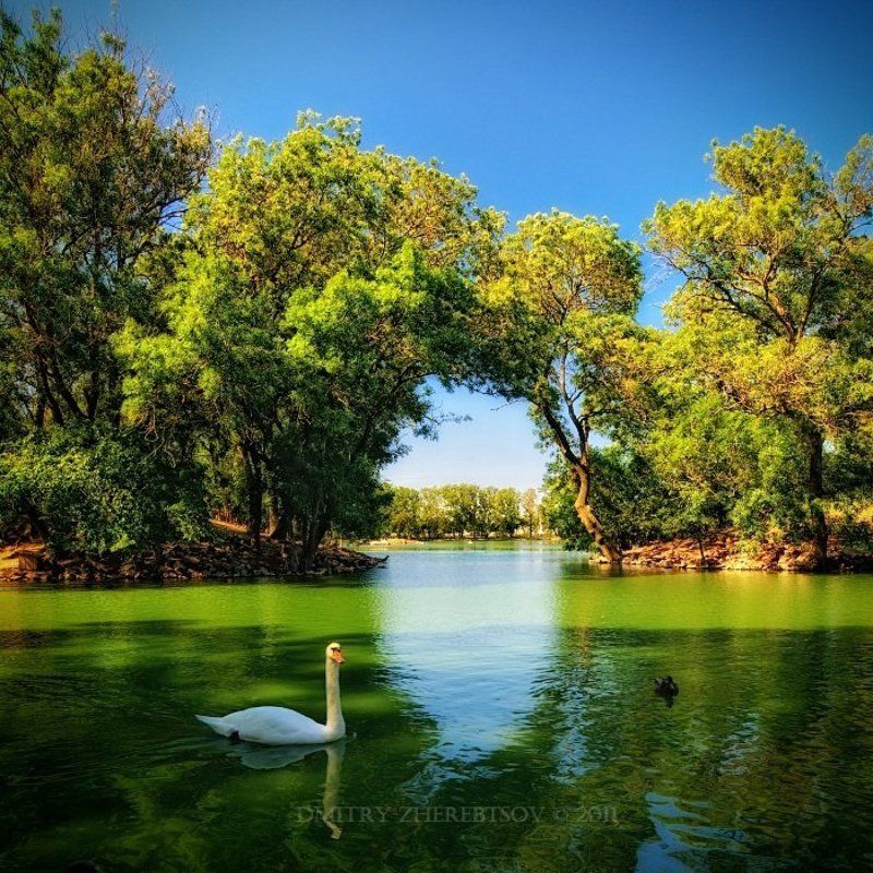 *** фото превью