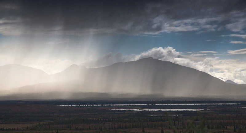 ДОЖДЛИВЫЙ СВЕТ... фото превью