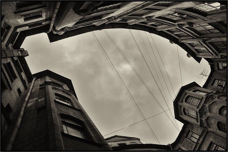 Задрав голову...(чисто питерское) фото превью