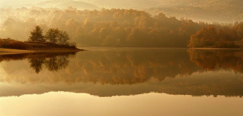 reflection II фото превью