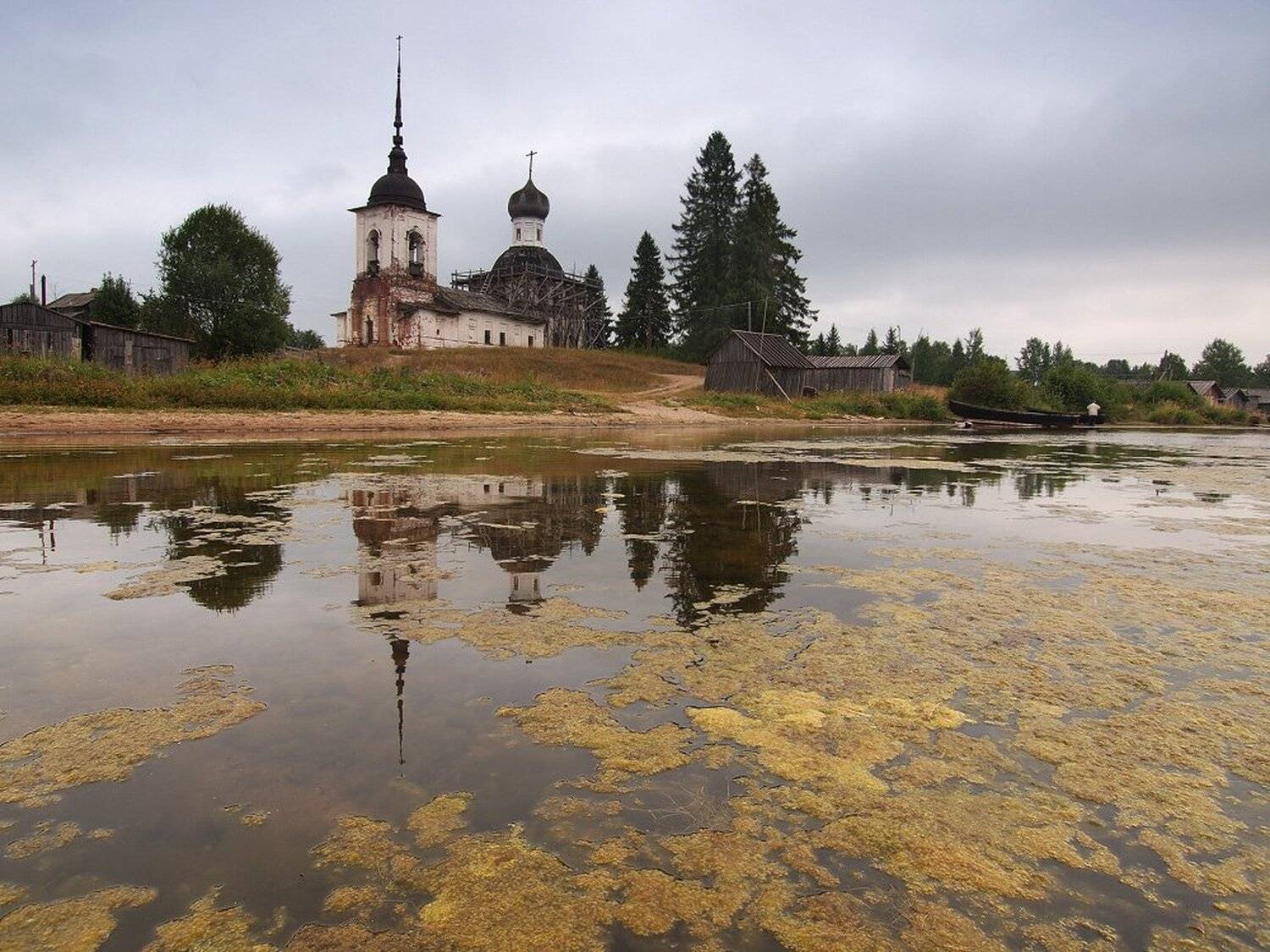 , Максим Евдокимов