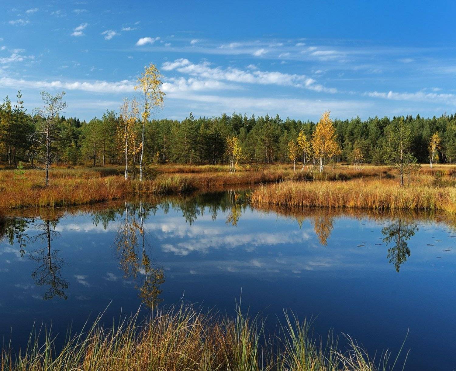 , Сергей Седов