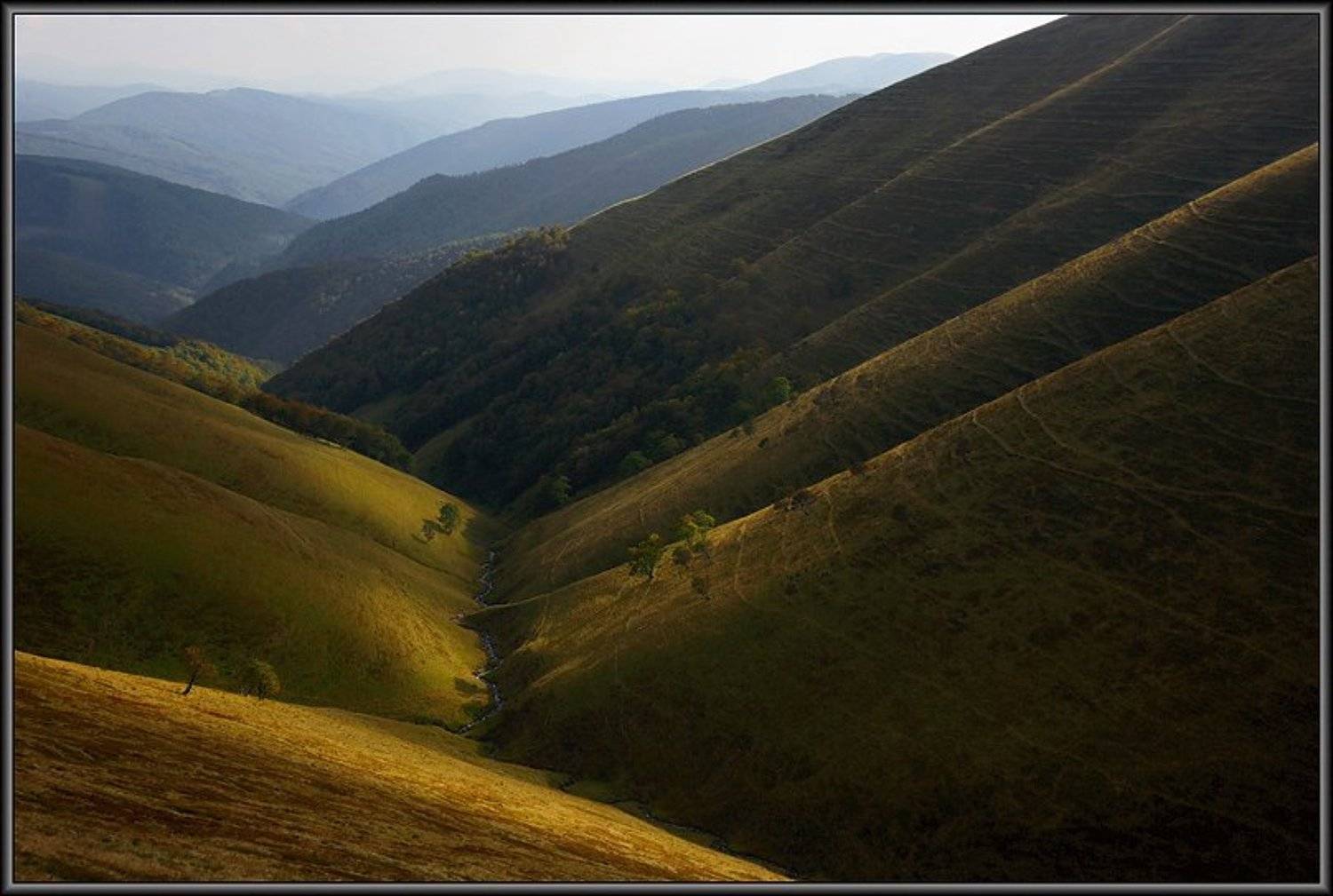 карпаты, Тарас