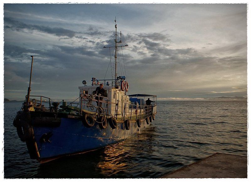 морской волк фото превью