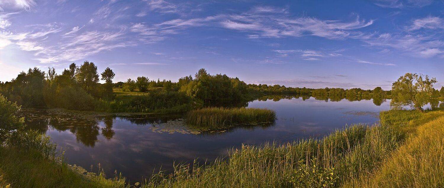 , Юрий Вертиков