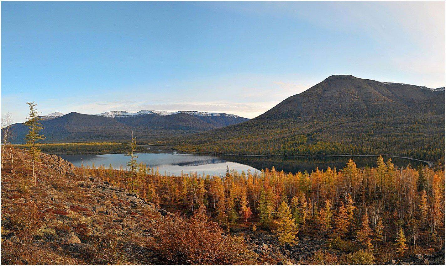 таймыр, Vladimir